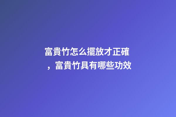 富貴竹怎么擺放才正確，富貴竹具有哪些功效